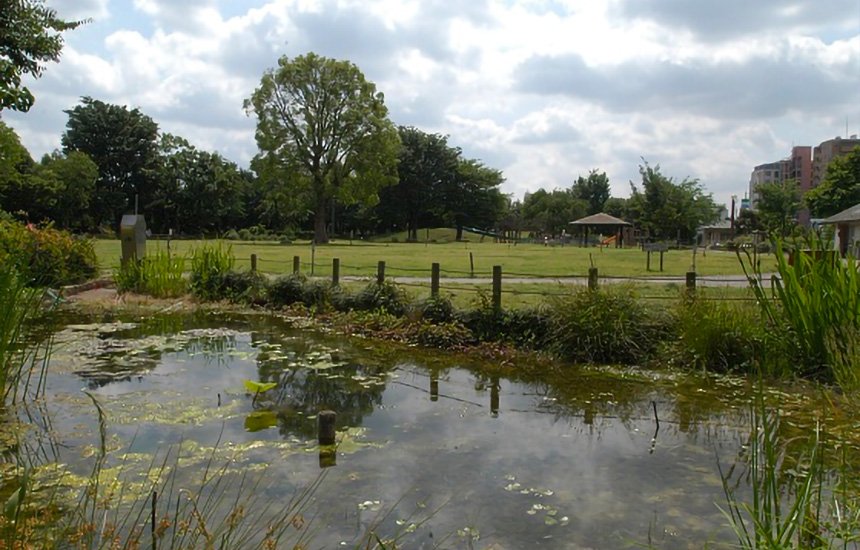 🏞️ 잠자리못 공원(톤보이케 코엔) 이미지 5